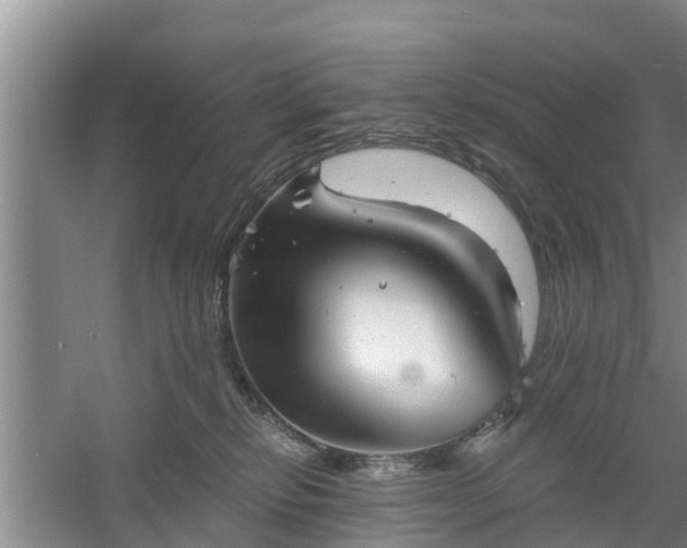 X0000060780278200511141425