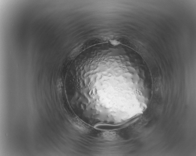 X0000060780279200511141425