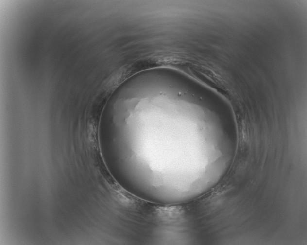 X0000060780281200511141425