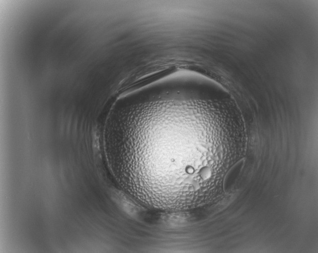 X0000060780282200511141425