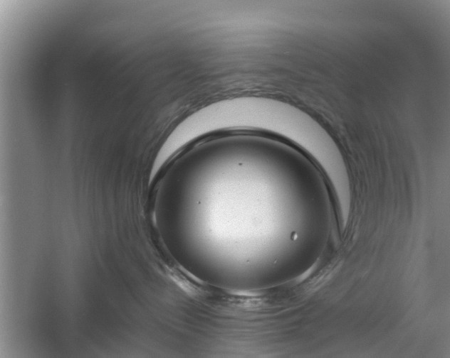 X0000060780288200511141425