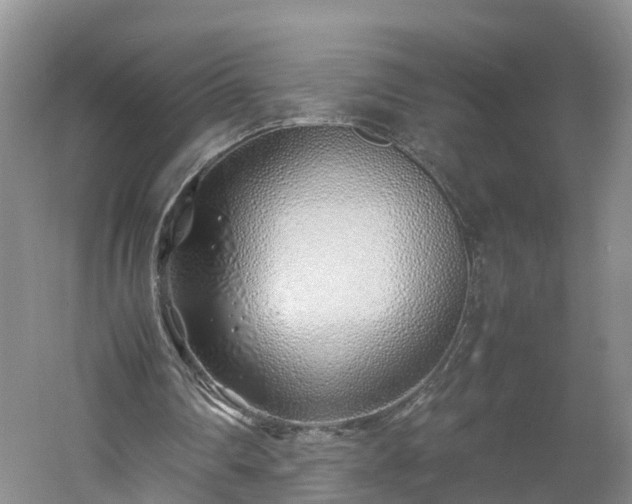 X0000060780290200511141424