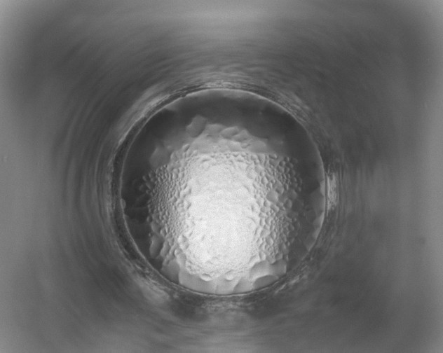 X0000060780291200511141424