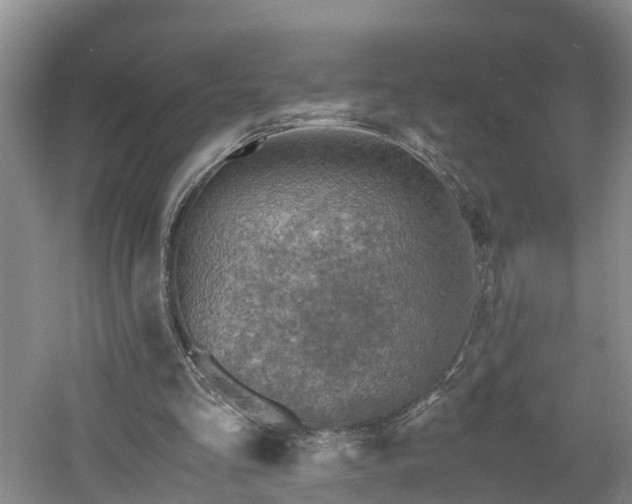 X0000060780293200511141424