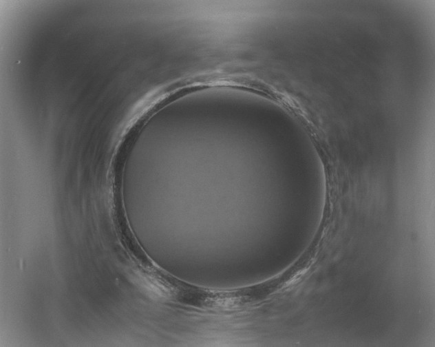 X0000060780295200511141424