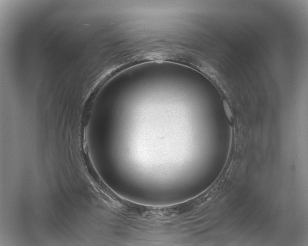 X0000060780297200511141424