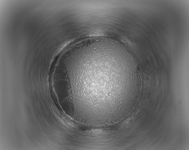 X0000060780298200511141424