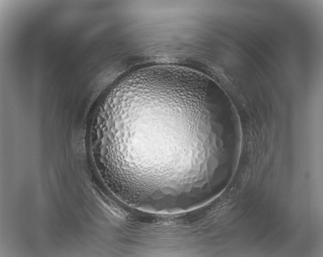 X0000060780299200511141424