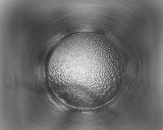 X0000060780302200511141424