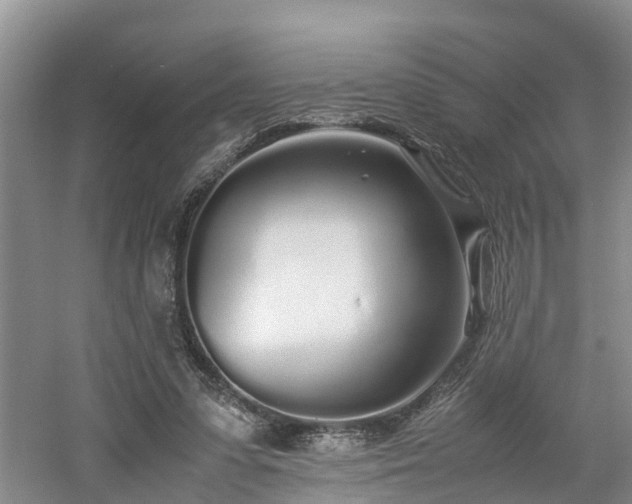 X0000060780303200511141424