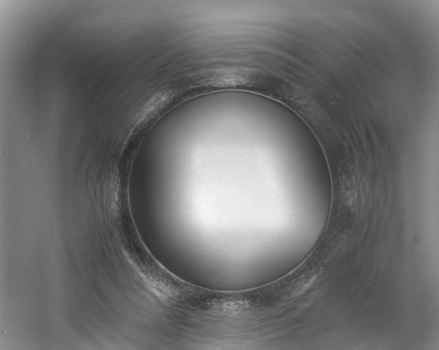 X0000060780304200511141424