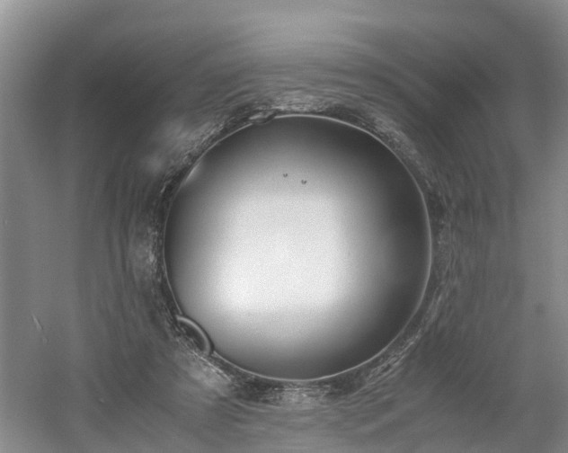 X0000060780305200511141424