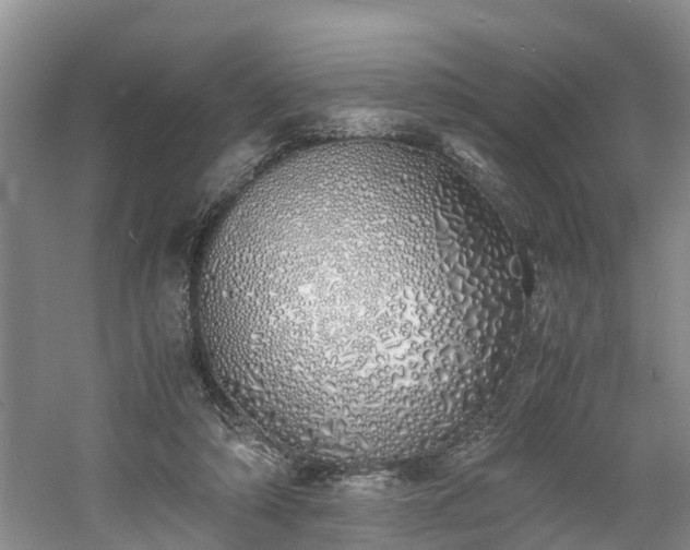 X0000060780306200511141424