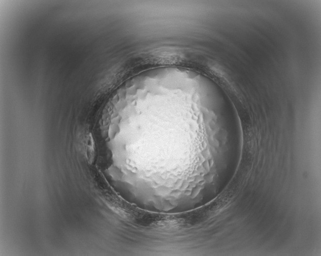 X0000060780307200511141424