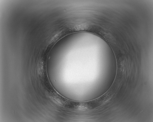 X0000060780308200511141424