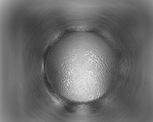 X0000060780310200511141424