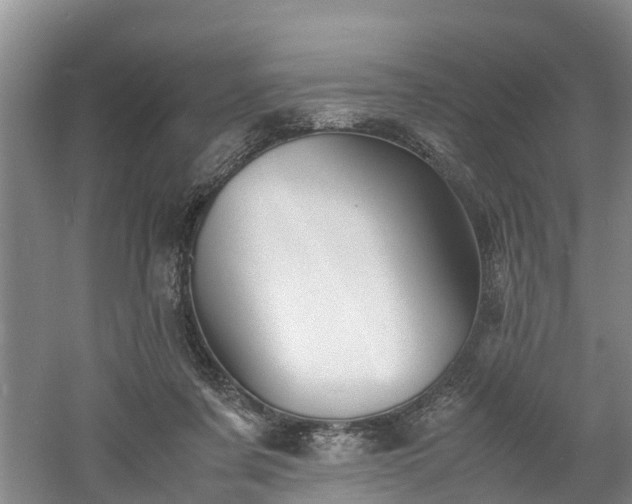 X0000060780311200511141424