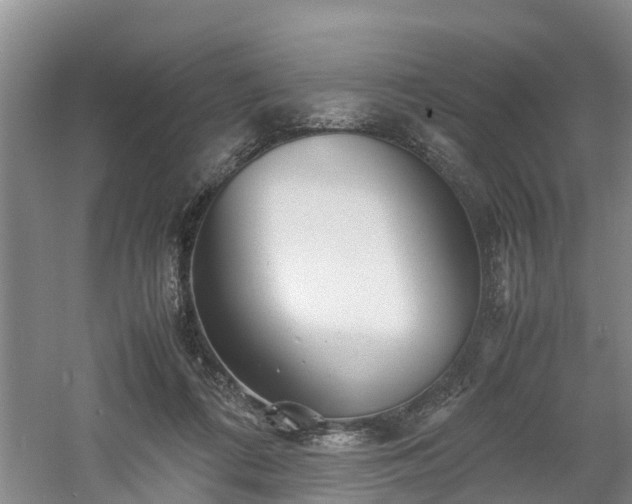 X0000060780312200511141424