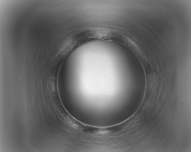 X0000060780313200511141424