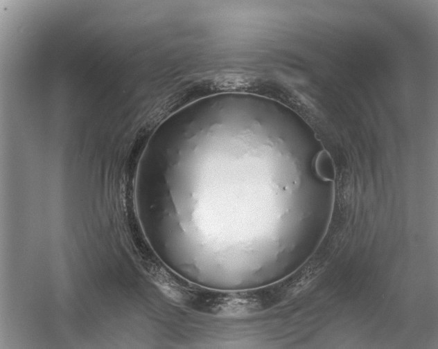 X0000060780315200511141424