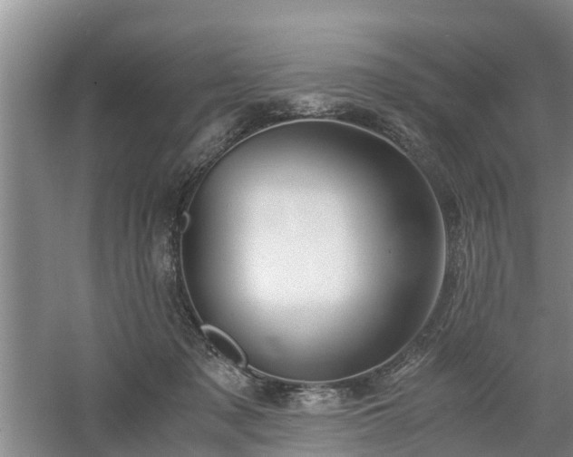 X0000060780317200511141424