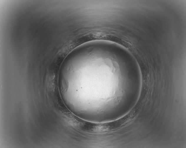 X0000060780319200511141424