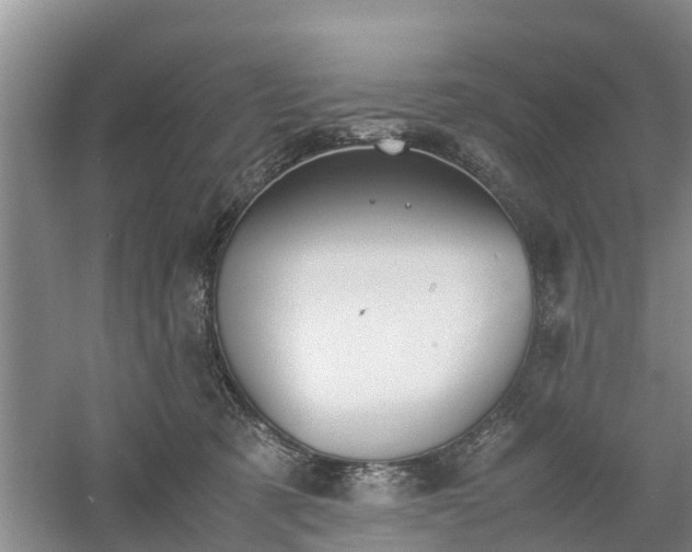 X0000060780321200511141424