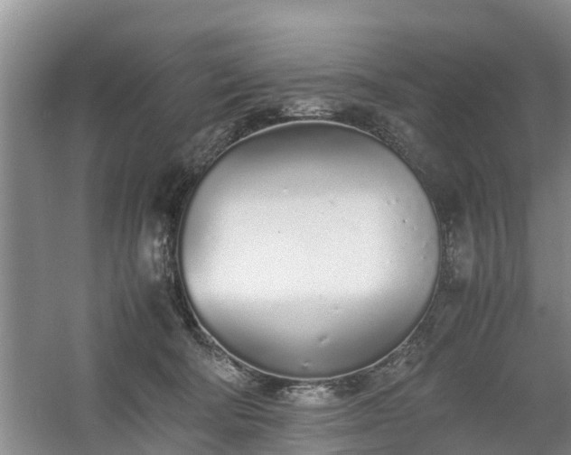 X0000060780322200511141424