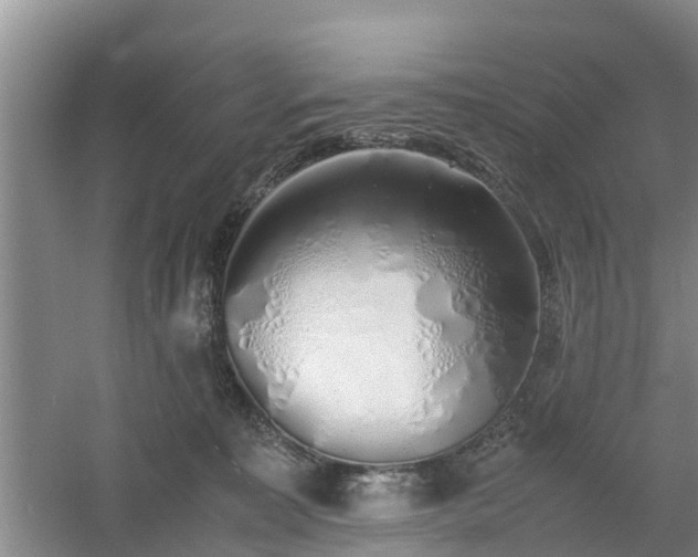 X0000060780323200511141424