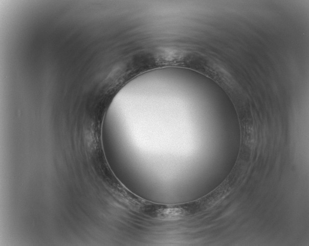 X0000060780324200511141424