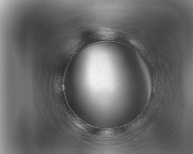 X0000060780325200511141424