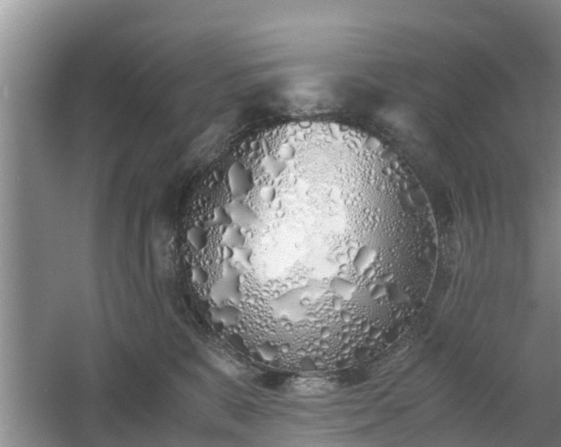 X0000060780327200511141424