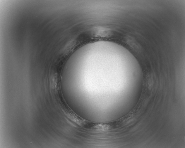 X0000060780328200511141424