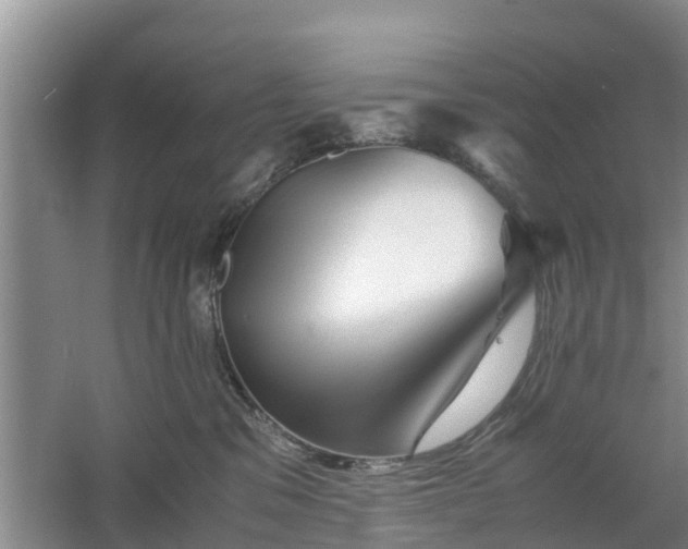 X0000060780329200511141424