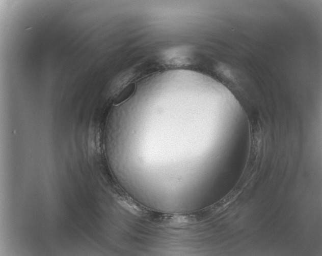 X0000060780330200511141424