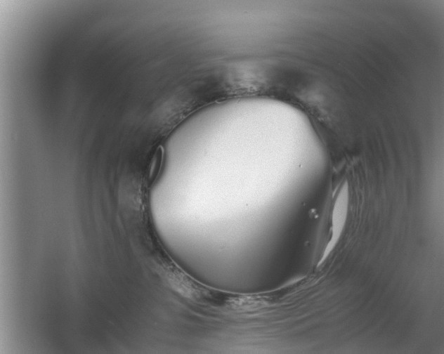 X0000060780331200511141424