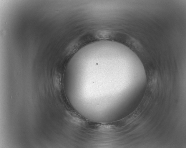 X0000060780332200511141424