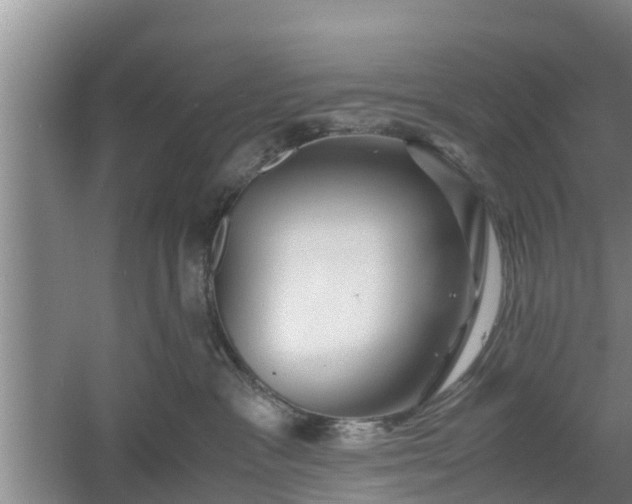 X0000060780333200511141424