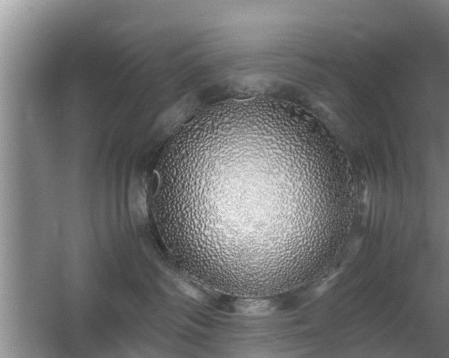 X0000060780334200511141424