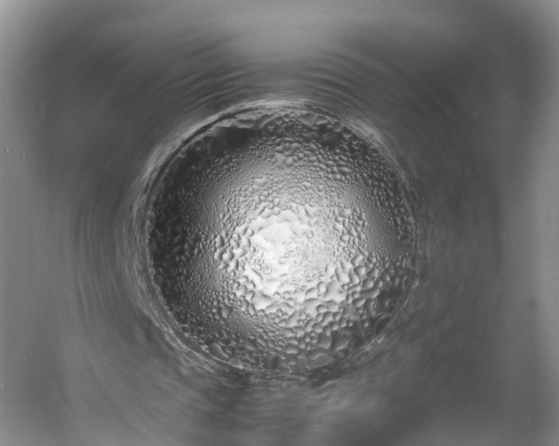 X0000060780337200511141423