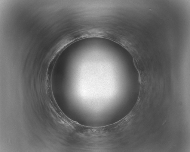 X0000060780338200511141423