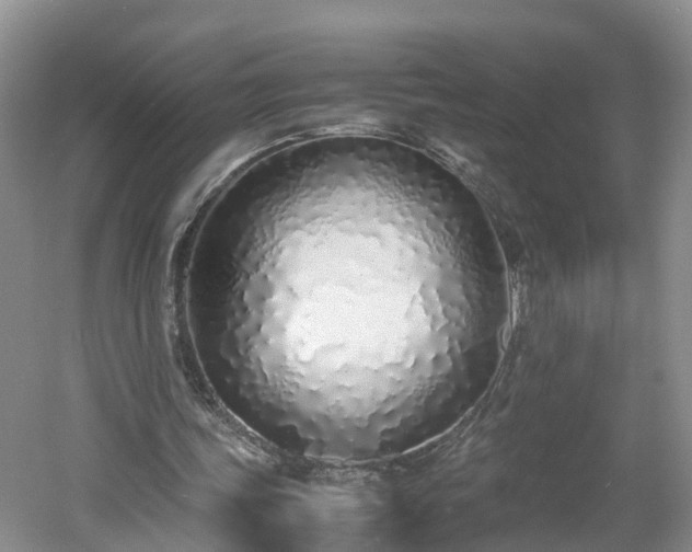 X0000060780339200511141423