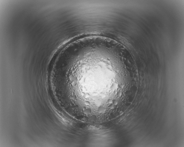 X0000060780346200511141423