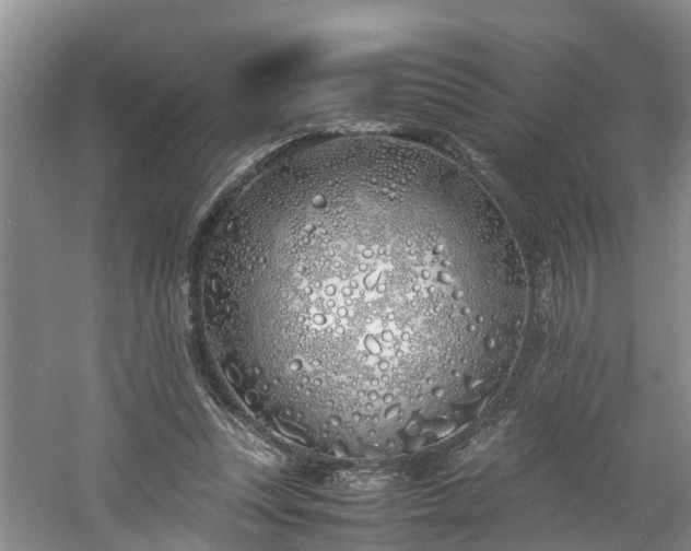 X0000060780351200511141423