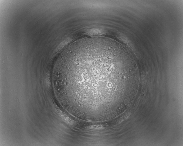 X0000060780353200511141423