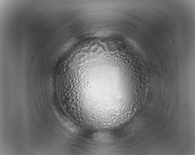 X0000060780354200511141423