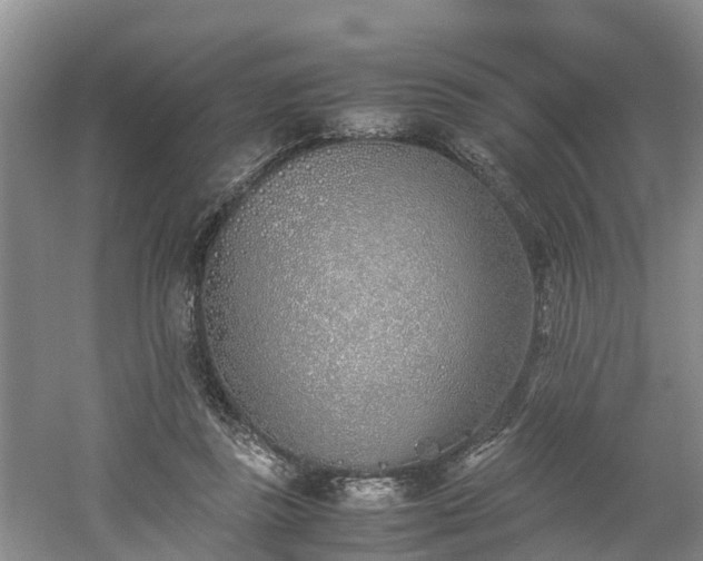 X0000060780355200511141423