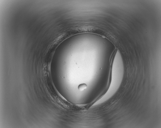 X0000060780356200511141423