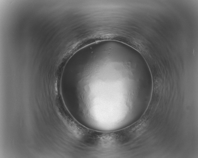 X0000060780358200511141423