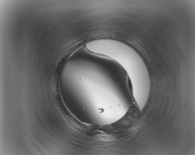 X0000060780359200511141423